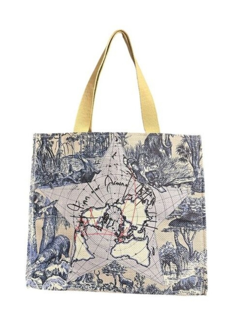 Chrisrian Dior Beauty Around the World Tote NWT